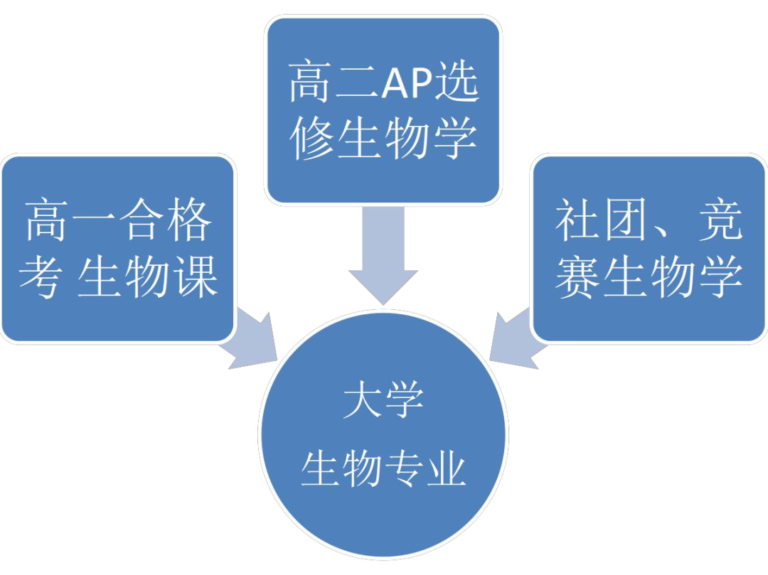 交大附中国际部_交大附中国际部难进吗_交大附中国际部地址